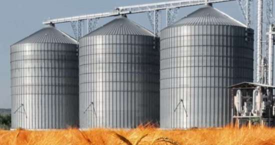 grain